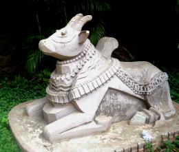 Nandi (Sanskrit: à¤¨à¤‚à¤¦à¥€) 